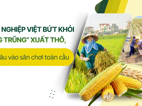 [eMagazine] Nông nghiệp Việt bứt khỏi “vùng trũng” xuất thô, tiến sâu vào sân chơi toàn cầu