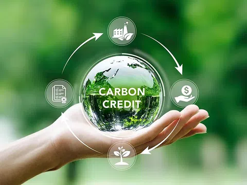Doanh nghiệp giao dịch tín chỉ carbon thông qua tài khoản chứng khoán