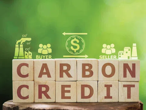 Việt Nam hoàn thiện hành lang pháp lý cho thị trường carbon nội địa