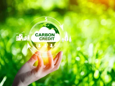 Thao túng giá trên sàn carbon có thể bị xử lý ở mức hình sự