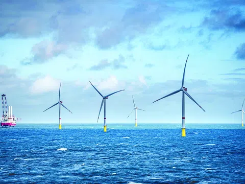 Mở không gian biển cho điện gió ngoài khơi: EVN và PVN được giao khảo sát quy mô lớn