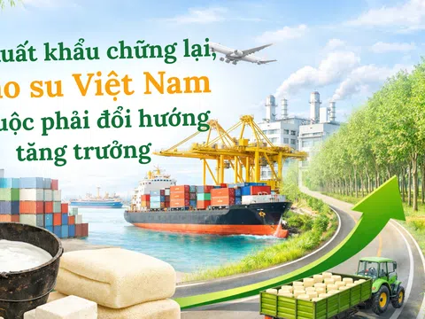 [eMagazine] Xuất khẩu chững lại, cao su Việt Nam buộc phải đổi hướng tăng trưởng