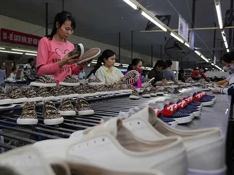 Da giày Việt Nam giữ nhịp tăng trưởng xuất khẩu, doanh nghiệp nội từng bước mở rộng vị thế