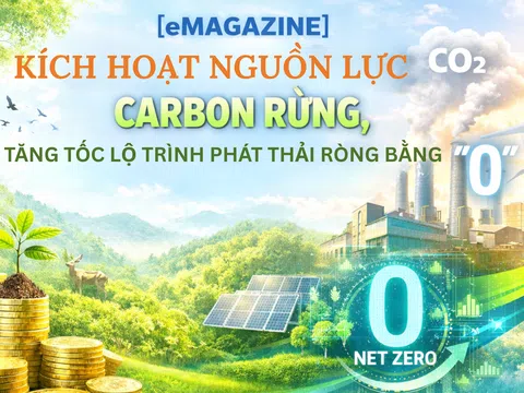 [eMagazine] Kích hoạt nguồn lực carbon rừng, tăng tốc lộ trình phát thải ròng bằng “0”