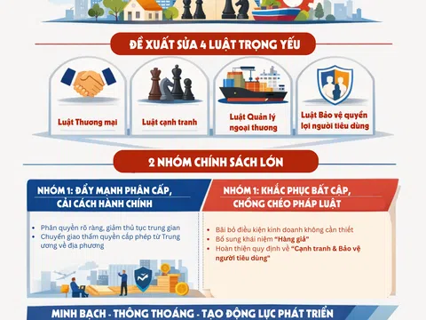 [Infographic] Đề xuất sửa 4 luật trọng yếu để mở đường cho doanh nghiệp phát triển