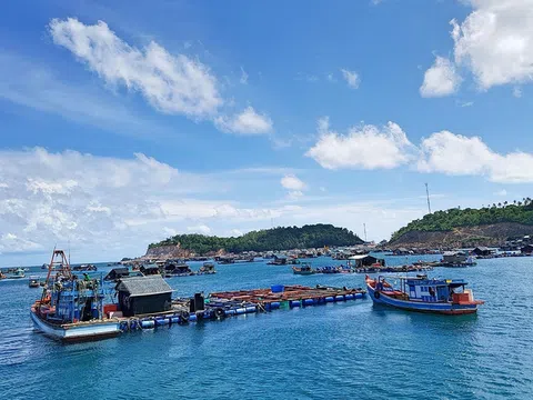 Làm rõ trách nhiệm giao biển, rút ngắn thủ tục còn tối đa 40 ngày