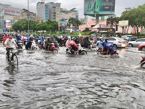 Năm 2026, TP.HCM tăng cường giám sát dữ liệu thủy văn phục vụ ứng phó thiên tai
