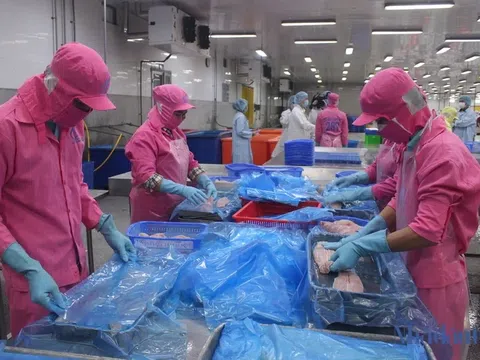 Xuất khẩu thủy sản khởi sắc, tăng hơn 30% ngay tháng đầu năm 2026