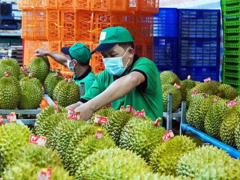 Xuất khẩu rau quả bứt tốc đầu năm, hướng tới mốc 10 tỷ USD