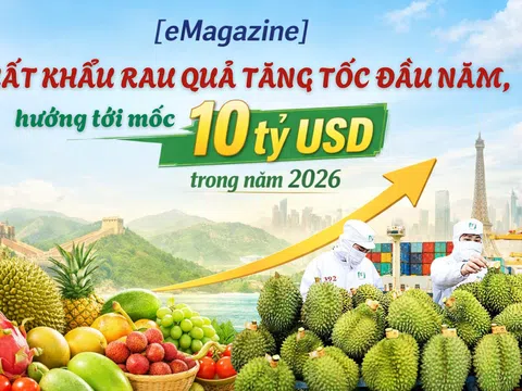 [eMagazine] Xuất khẩu rau quả tăng tốc đầu năm, hướng tới mốc 10 tỷ USD trong năm 2026