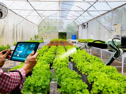 Từ nông nghiệp công nghệ cao đến du lịch sinh thái: Những định hướng được nêu trước cử tri