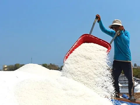 Doanh nghiệp muối đẩy mạnh công nghệ, tìm đường vào thị trường quốc tế