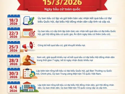 [Infographic] Những mốc thời gian quan trọng sau ngày bầu cử Quốc hội và HĐND nhiệm kỳ 2026-2031