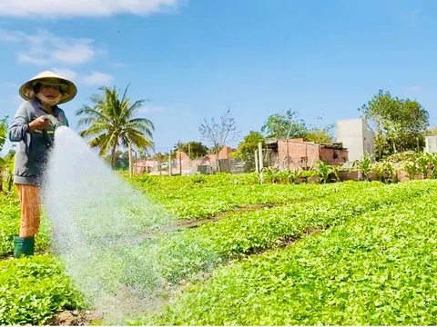 Tăng hỗ trợ từ ngân sách để khuyến khích nông dân tham gia bảo hiểm nông nghiệp