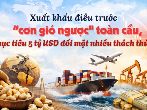 [eMagazine] Xuất khẩu điều trước “cơn gió ngược” toàn cầu, mục tiêu 5 tỷ USD đối mặt nhiều thách thức