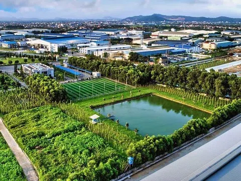 TP.HCM hướng dòng kiều hối vào công nghệ, đặt mục tiêu nghìn tỷ cho tăng trưởng xanh