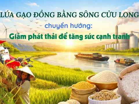 [eMagazine] Lúa gạo đồng bằng sông Cửu Long chuyển hướng: Giảm phát thải để tăng sức cạnh tranh