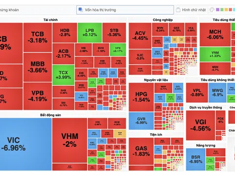 Làn sóng bán tháo kéo VN-Index rơi mạnh về vùng 1.600 điểm