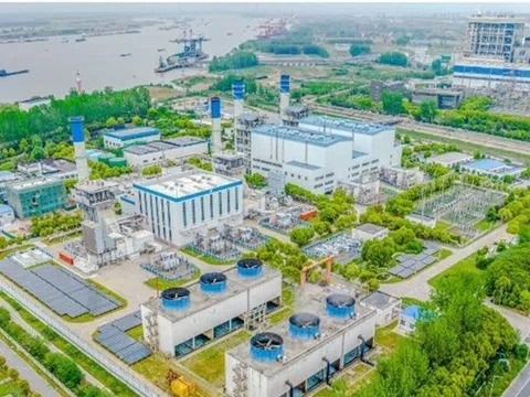 Tín dụng xanh mở rộng quy mô, tiệm cận 780.000 tỷ đồng