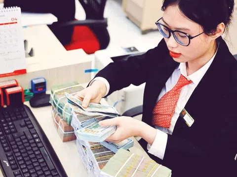 Nới lỏng quản lý ngoại hối, tạo đòn bẩy cho doanh nghiệp đầu tư ra nước ngoài