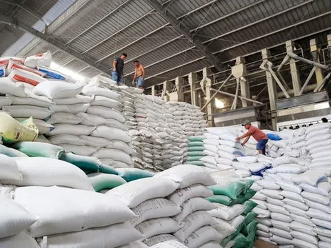 Kiến nghị bổ sung dự trữ lương thực quốc gia để hỗ trợ thị trường lúa gạo