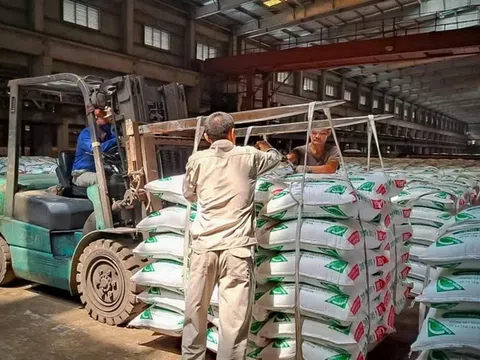 Ngành phân bón đối mặt áp lực chi phí, doanh nghiệp kiến nghị chính sách hỗ trợ