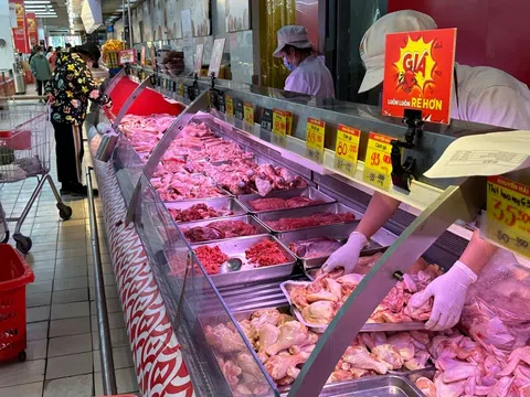 Thí điểm sàn giao dịch thịt heo: Kỳ vọng định hình lại cơ chế giá trên thị trường