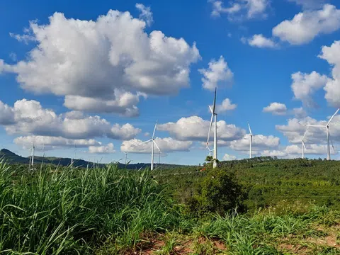 Chủ động hội nhập khu vực, Việt Nam đẩy mạnh hợp tác phát triển carbon xanh dương