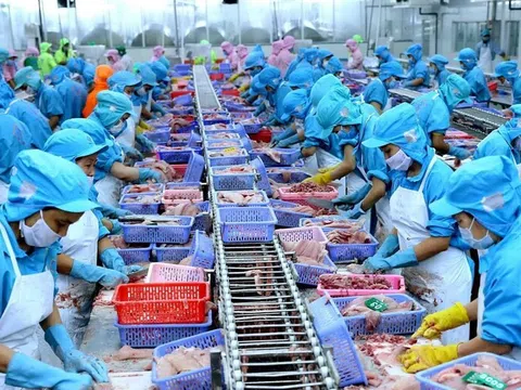 Áp lực logistics gia tăng, doanh nghiệp thủy sản xoay trục giữ đà xuất khẩu