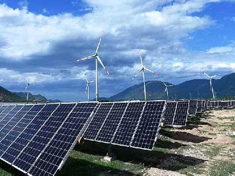 Trung Nam Group đề xuất khảo sát 18.600ha biển La Gi, mở rộng danh mục đầu tư điện gió ngoài khơi