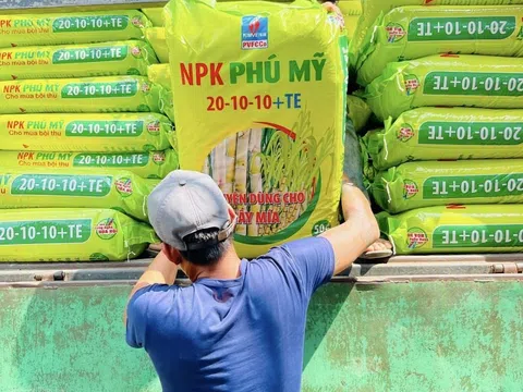 PVFCCo – Phú Mỹ tối ưu vận hành, nâng cao năng suất đẩy mạnh tăng trưởng