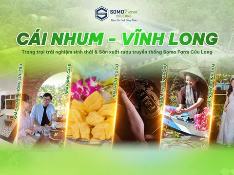 Somo Gold mang hệ sinh thái đa ngành gắn với "Tinh hoa ẩm thực Việt"