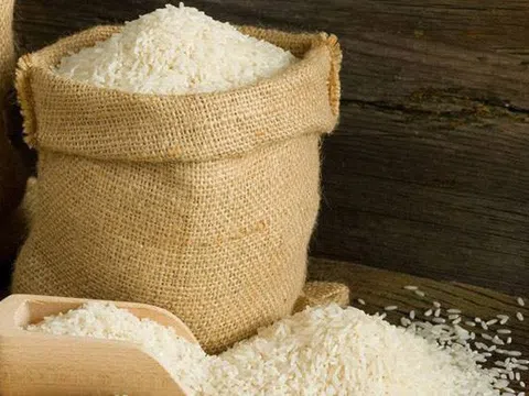 Tuần qua giá gạo Việt Nam tăng lên mức cao trong hai tháng rưỡi qua