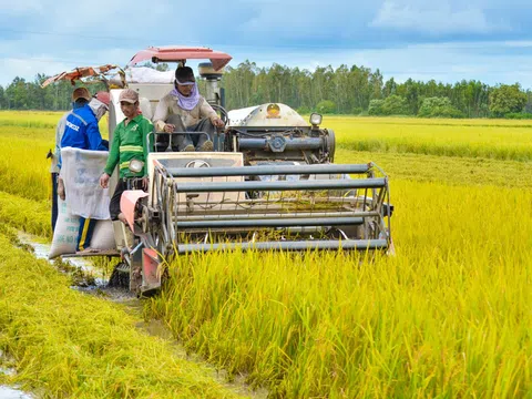 Kiên Giang tăng sức cạnh tranh cho kinh tế nông nghiệp