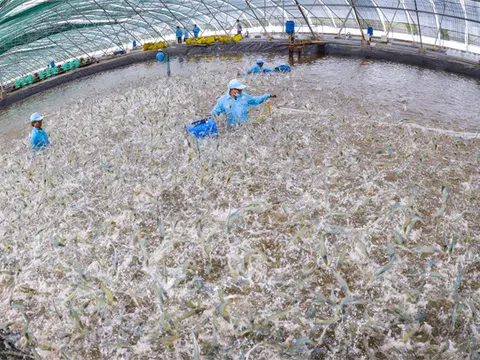 Bạc Liêu ứng dụng công nghệ trong phát triển nuôi trồng thủy sản