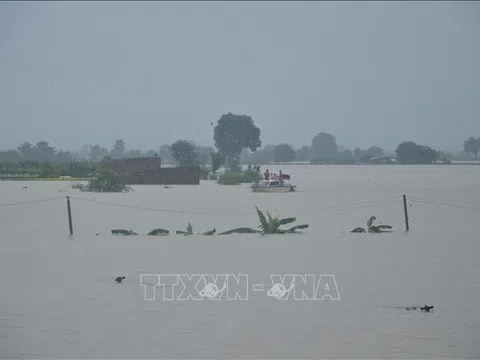 Nông nghiệp Gia Lai thiệt hại nặng do mưa lũ