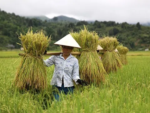 Mô hình sinh kế thích ứng với biến đổi khí hậu và nguồn nước