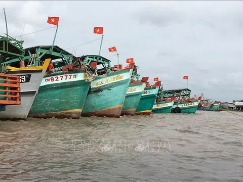 Khắc phục "thẻ vàng" IUU: Giám sát chặt hành trình tàu cá rời cảng