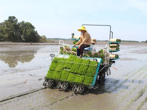 Chi phí vật tư tăng cao, nông dân khó khăn trong sản xuất vụ Đông Xuân