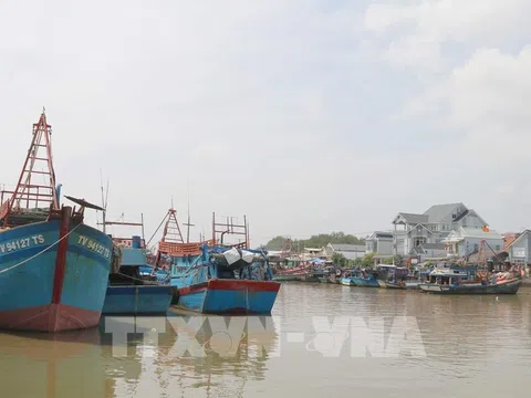 Trà Vinh: "Trải thảm" thu hút đầu tư vào kinh tế biển