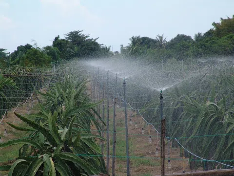 Bình Thuận định hướng phát triển thủy lợi nhỏ, tưới tiết kiệm nước