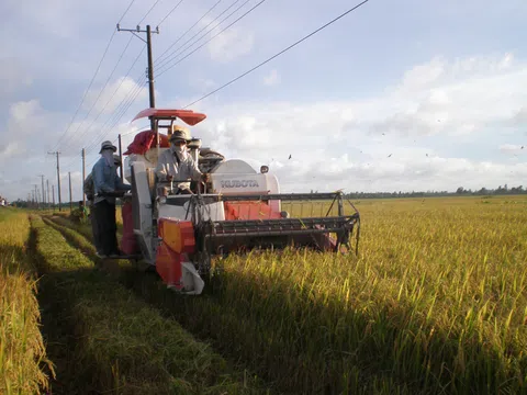 Trà Vinh hỗ trợ phát triển sản phẩm công nghiệp nông thôn