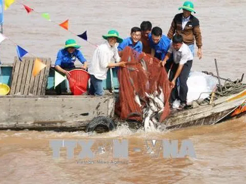 Việt Nam: Chặn suy giảm, phục hồi nguồn lợi thủy sản