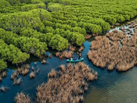 Kiên Giang: Liên kết bảo vệ, phát triển rừng ứng phó với biến đổi khí hậu