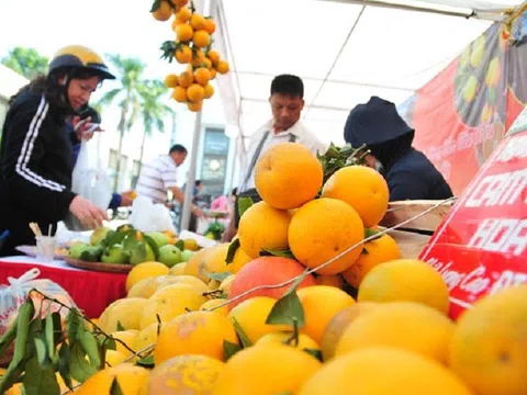 Hưng Yên kết nối tiêu thụ cam và sản phẩm nông nghiệp