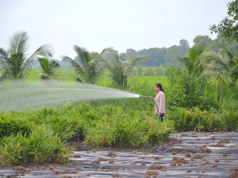 Triển khai ứng phó hạn, mặn mùa khô 2021 – 2022 tại Trà Vinh