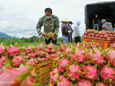 Kết nối sản xuất, chế biến và tiêu thụ nông sản trong nước