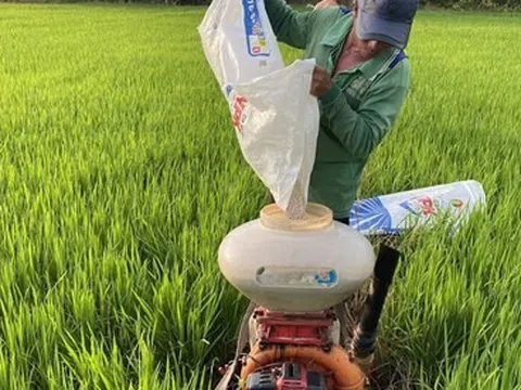 Phân bón Cà Mau chủ động nguồn cung cho vụ Đông Xuân 2022