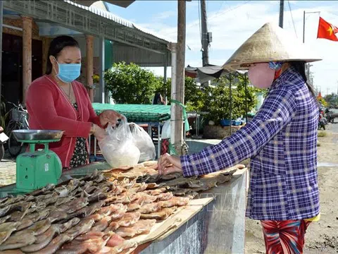 Làng cá khô Phú Thọ - Tam Nông- Đồng Tháp rộn ràng vụ Tết