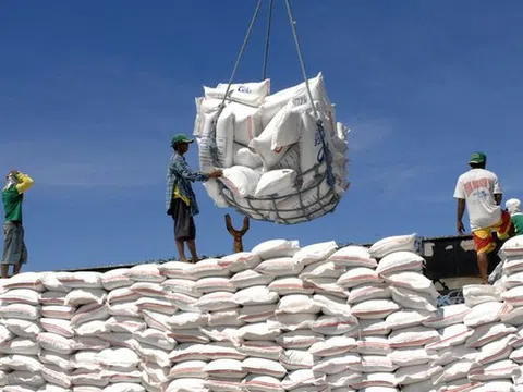 Thị trường nông sản thế giới: Giá gạo Thái Lan và Ấn Độ ít biến động